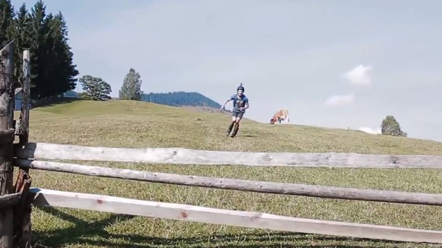 Українець вразив мережу екстремальним спуском у Карпатах: круте відео