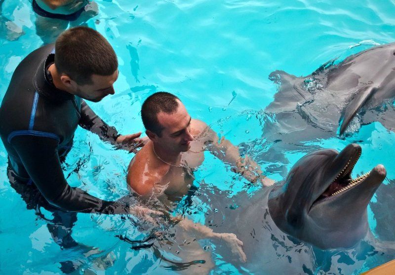 Дельфіни допомагають учасникам АТО реабілітуватись: відео