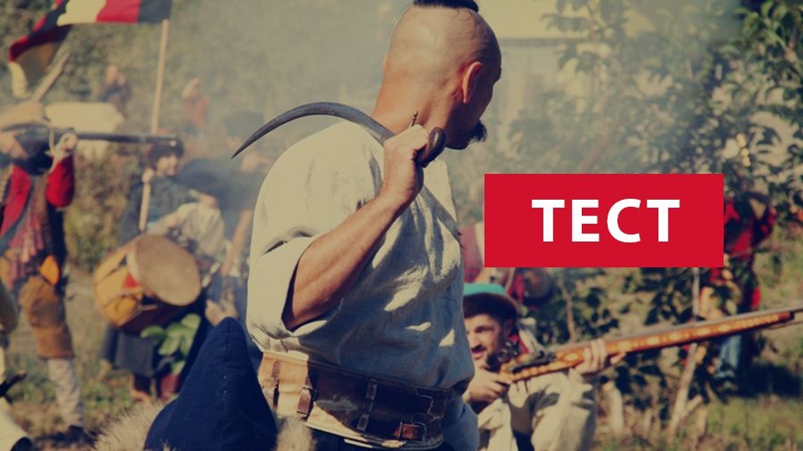 Тест для справжніх козаків: Чи взяли б вас на Січ? - фото 1