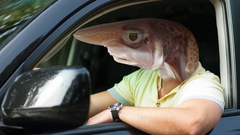 Названо найнебезпечніших водіїв за знаком Зодіаку