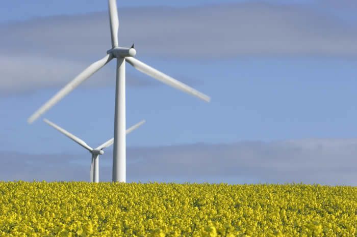 На Львівщині запрацювала найпотужніша вітроелектростанція у Західній Україні