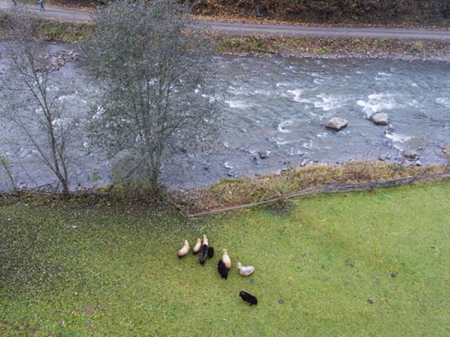 Ці фото змусять вас відвідати Карпати восени - фото 113438