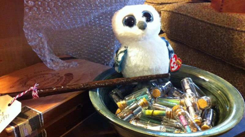 Чоловік створив сито спогадів з "Гаррі Поттера"