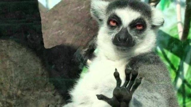 Як стати щасливим: 7 практичних порад - фото 108442