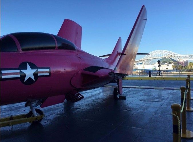 Соціальний проект: У США показали рожевий винищувач