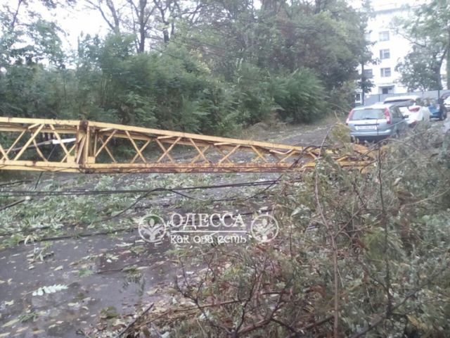 Моторошний шторм в Одесі: вітер повалив дерева і будівельні крани - фото 109828