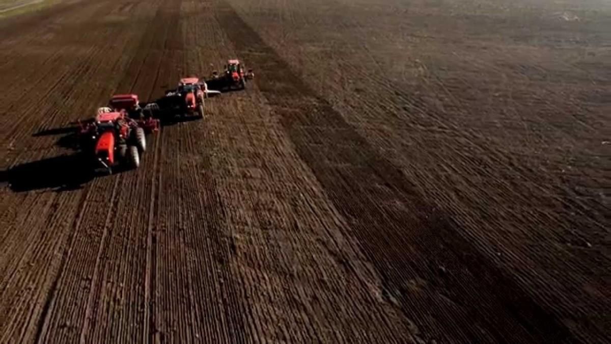 Трактори "Беларус" - фото 1