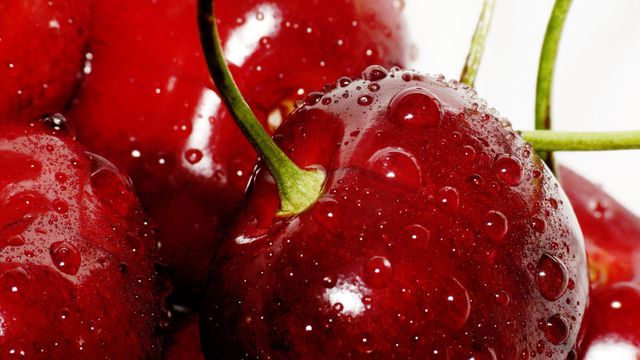 Вишня - фото 114298