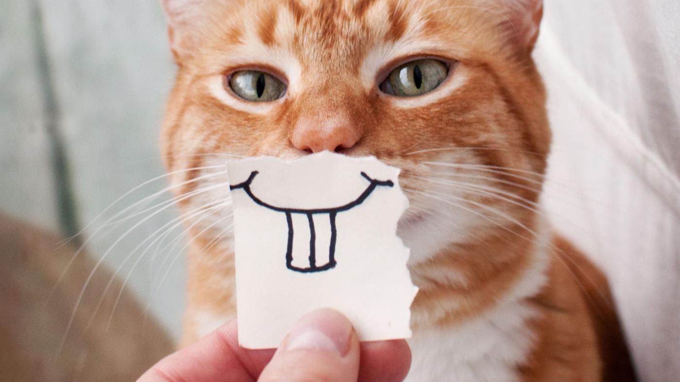 Учені спростували популярний міф про усмішку