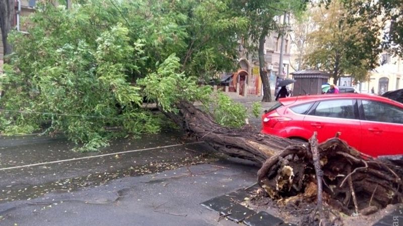 Моторошний шторм в Одесі: вітер повалив дерева і будівельні крани