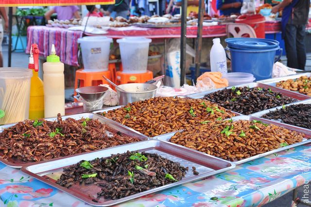 Цвіркун - фото 114088