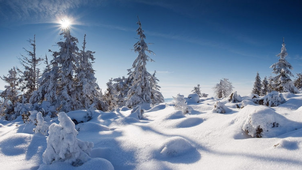 В Карпатах - мінус десь та 30 см снігу - фото 1
