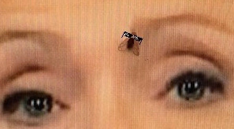 Клінтон - фото 1