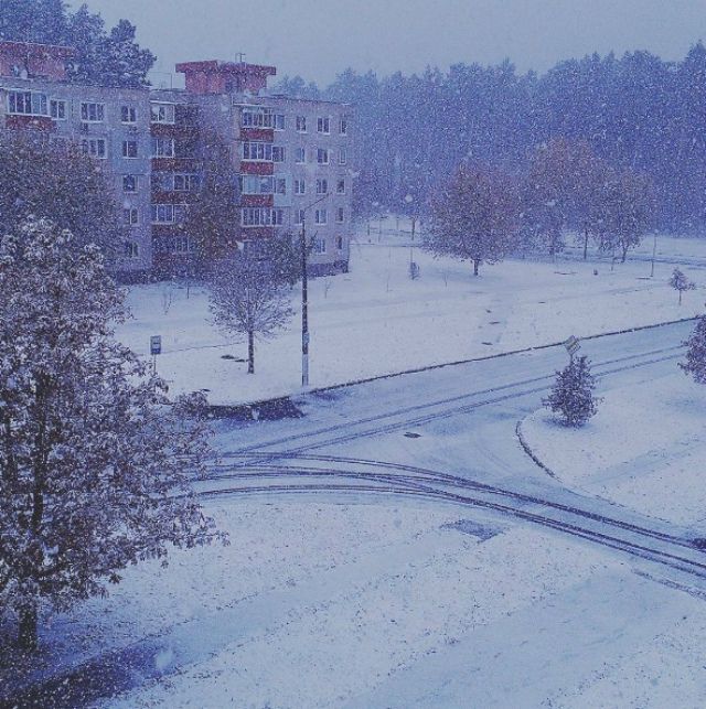 Як під Києвом замело першим снігом