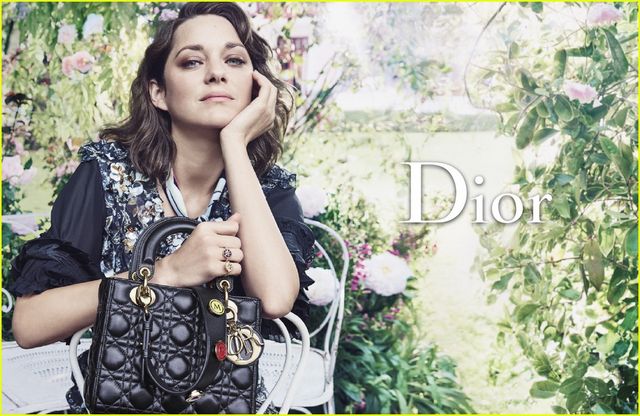 Котіяр - фото 114368