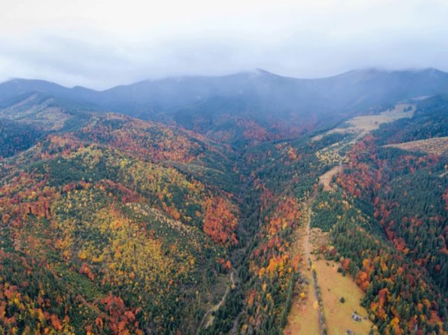Ці фото змусять вас відвідати Карпати восени - фото 113437