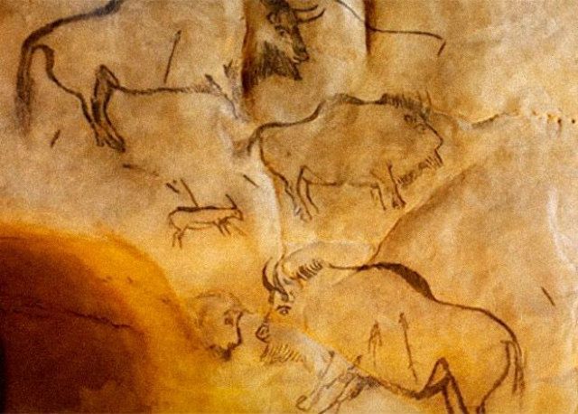 Науковці розгадали загадку походження зубрів