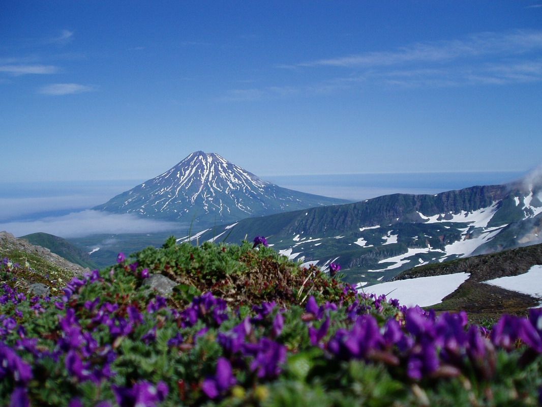 Японія вимагає від Росії повернути Курили