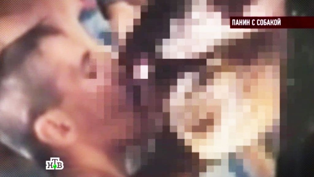 Панін із собакою - фото 1