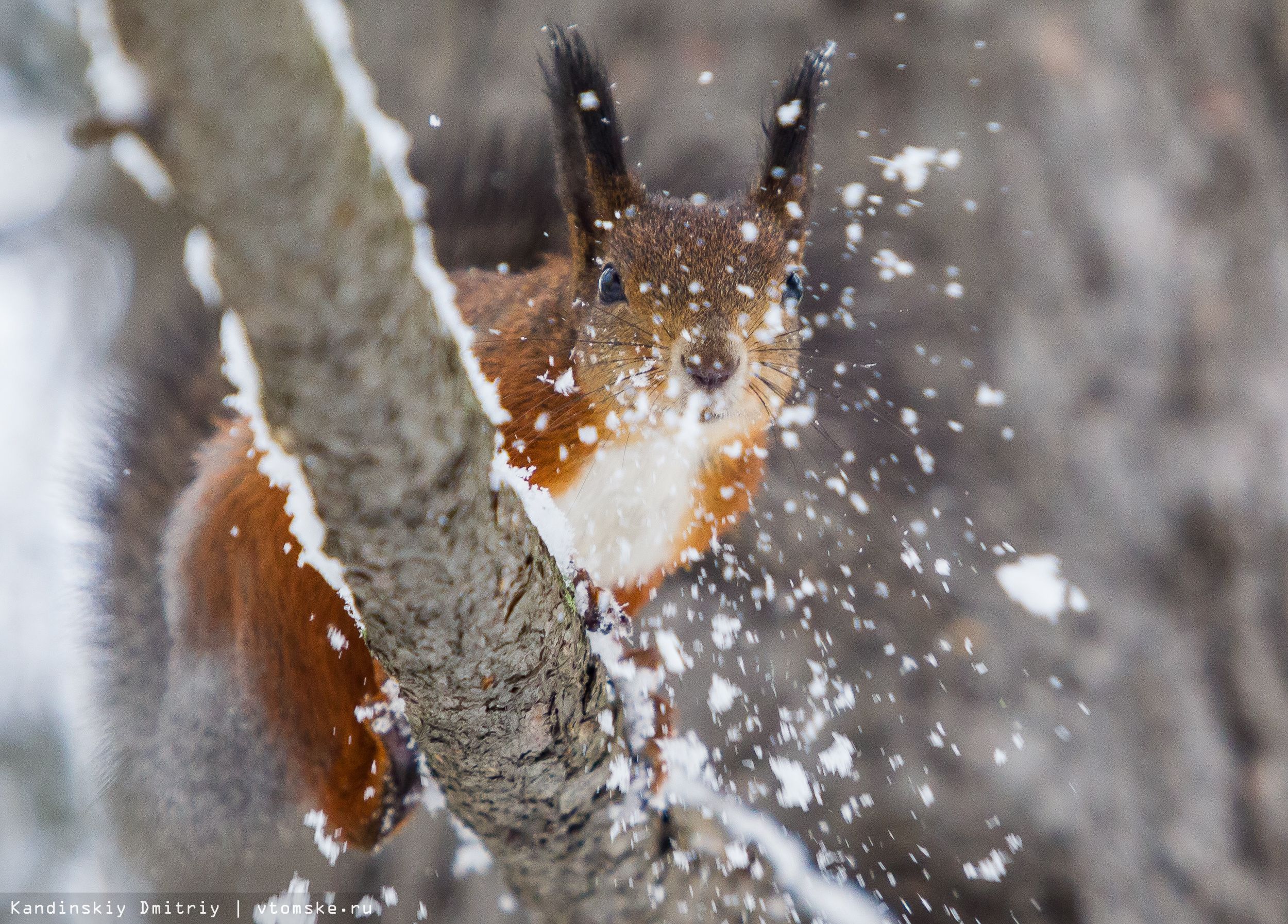 Вінниця - фото 1