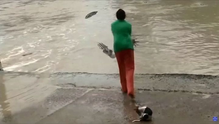 В Австралії жінка відігнала тапком крокодила