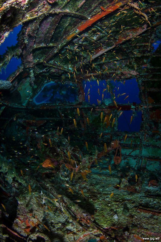 Підводне кладовище - фото 110847