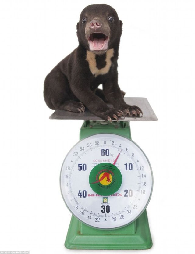 Айра - фото 110837