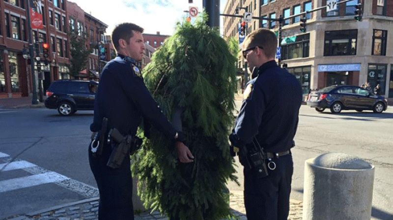 У США заарештували чоловіка-ялинку