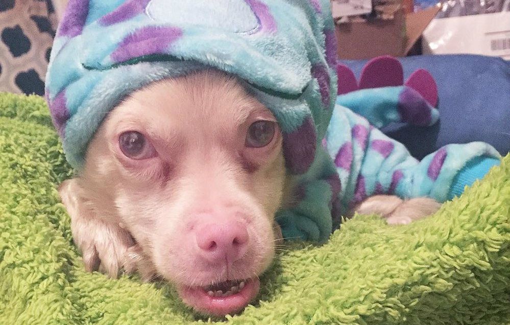 Такер - фото 1