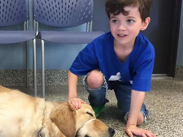 Хлопчик з аутизмом вперше зустрів свою "службову" собаку: зворушливе відео