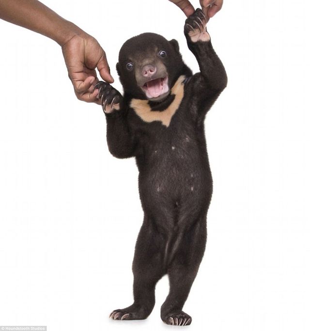 Айра - фото 110836