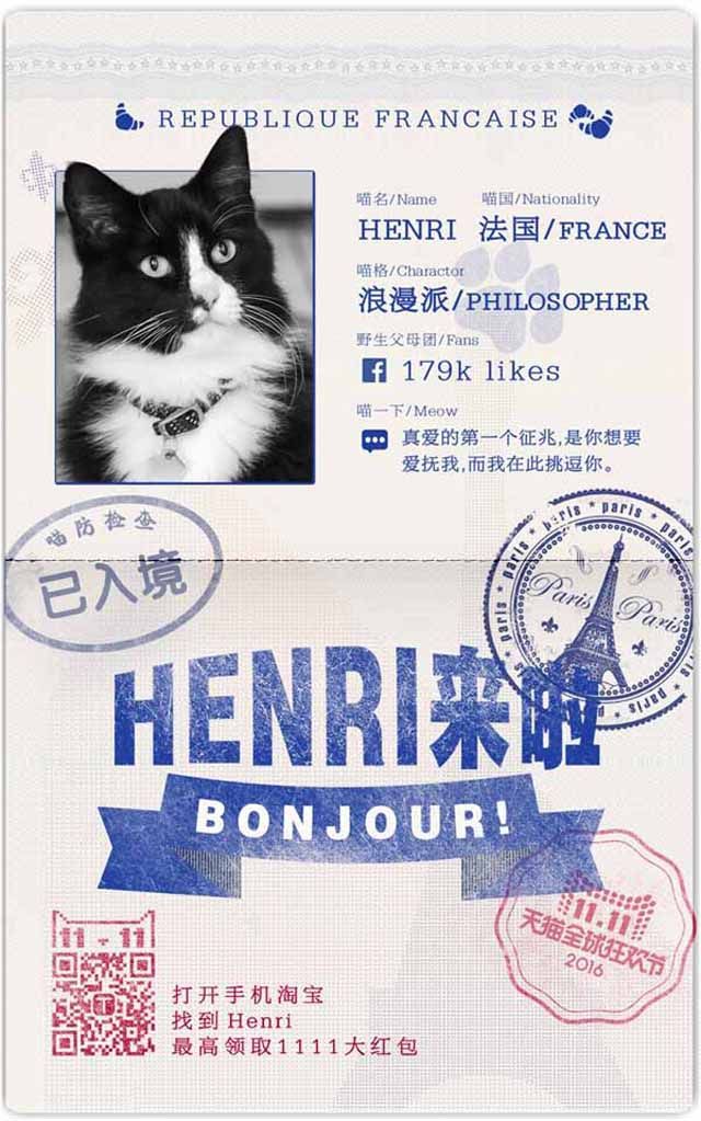 Кіт - фото 113882