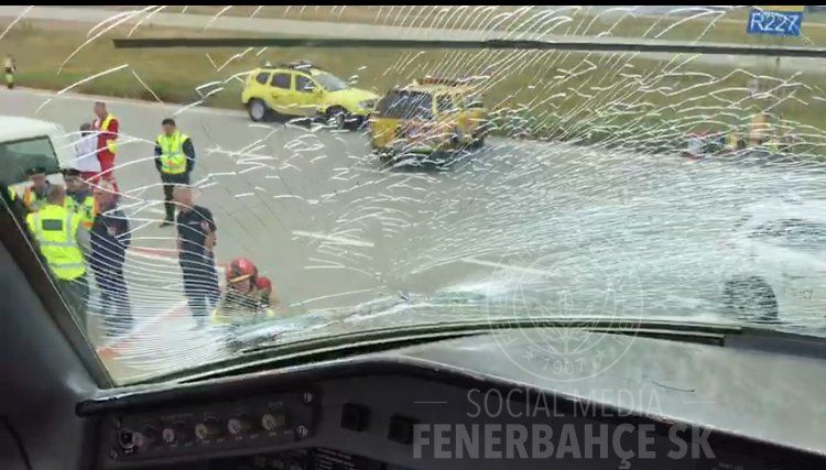 Літак з турецькими футболістами здійснив екстрену посадку через зіткнення з птахами