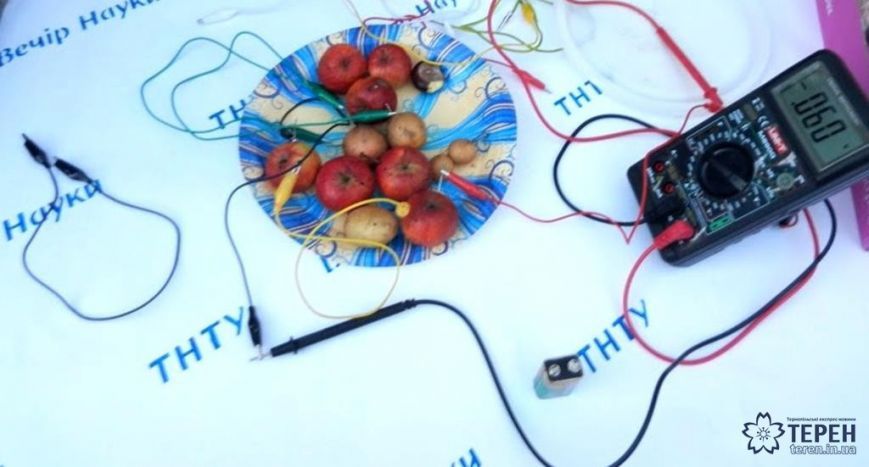 Тернопільські студенти навчилися заряджати гаджети від овочів