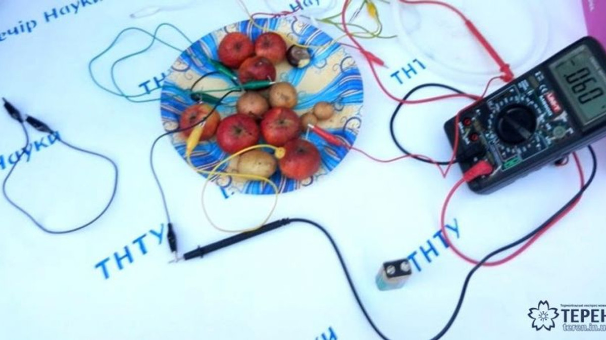 Тернопільські студенти навчилися заряджати гаджети від овочів - фото 1
