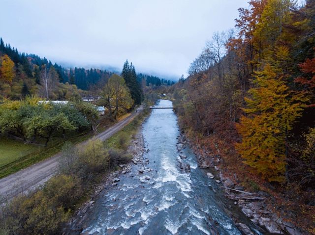 Ці фото змусять вас відвідати Карпати восени - фото 113439
