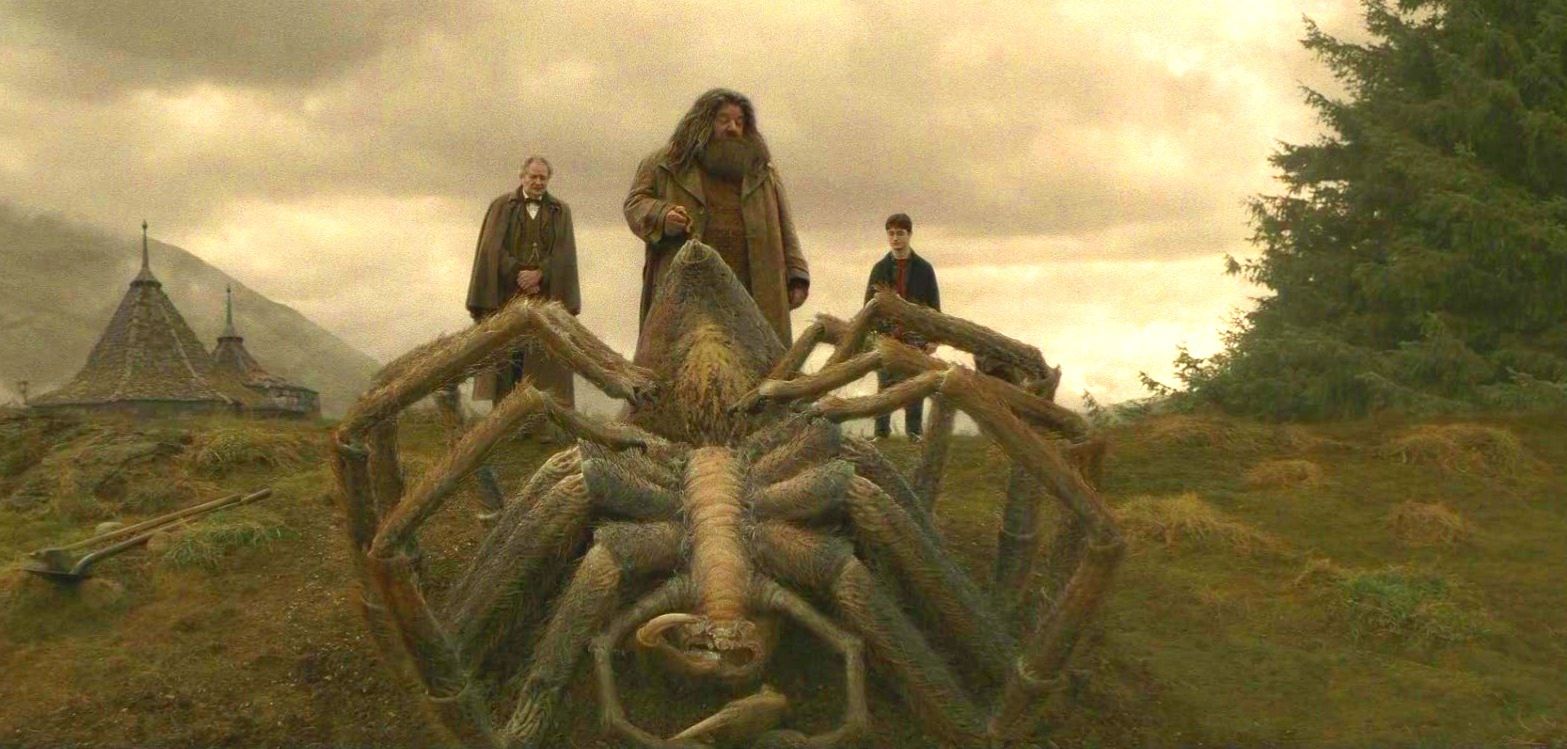 Мережу вразило відео з величезним павуком, який спіймав мишу