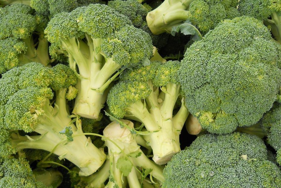 Вчені радять їсти броколі - фото 1