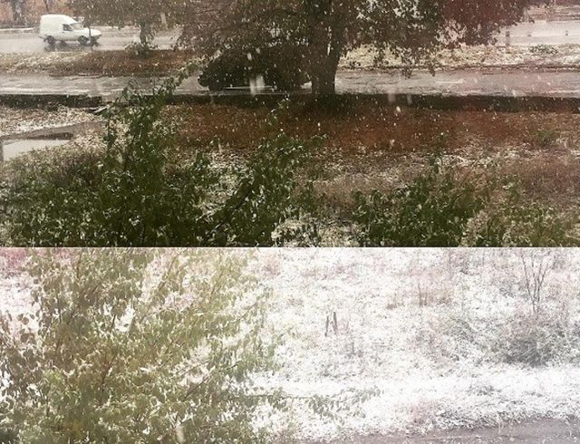 Три області України притрусило снігом - фото 113401