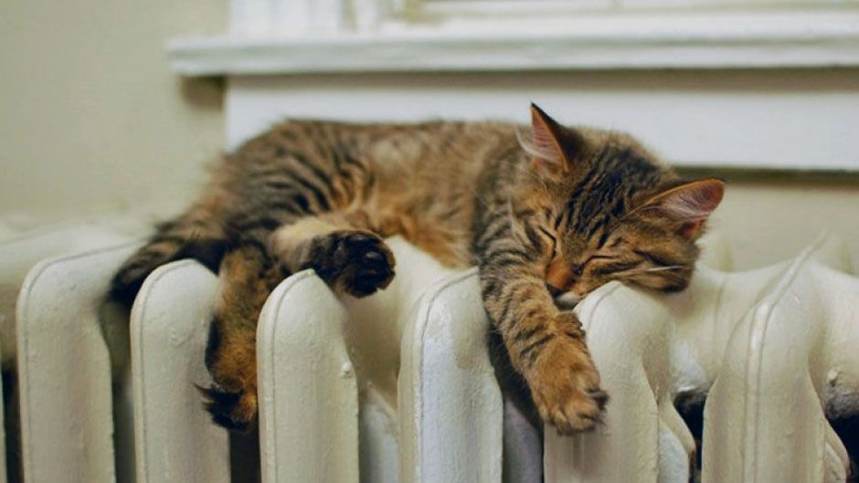 У Реви пояснили, як українці зможуть використовувати зекономлений газ - фото 1