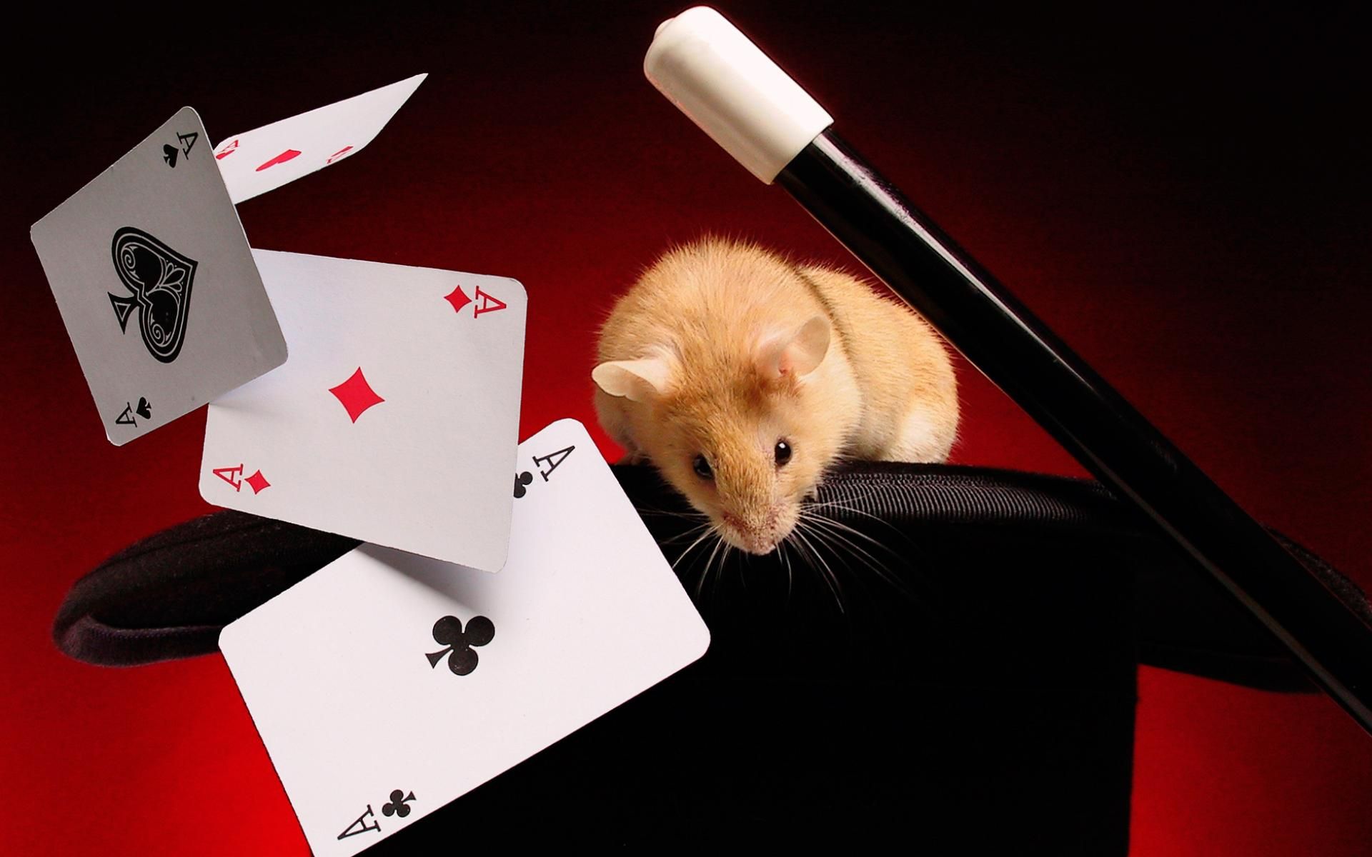 Мережу вразив японець, який змусив стакан літати: дивовижне відео