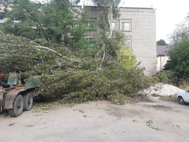 У Запоріжжі вирує страшна негода: фото наслідків- фото 109920