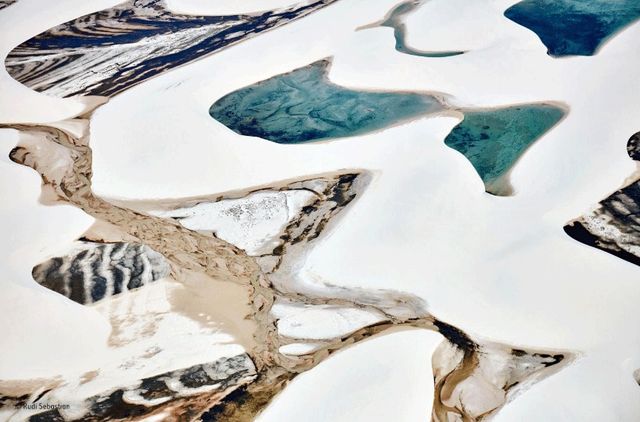 У мережі показали найкращі фото дикої природи 2016-го - фото 112971
