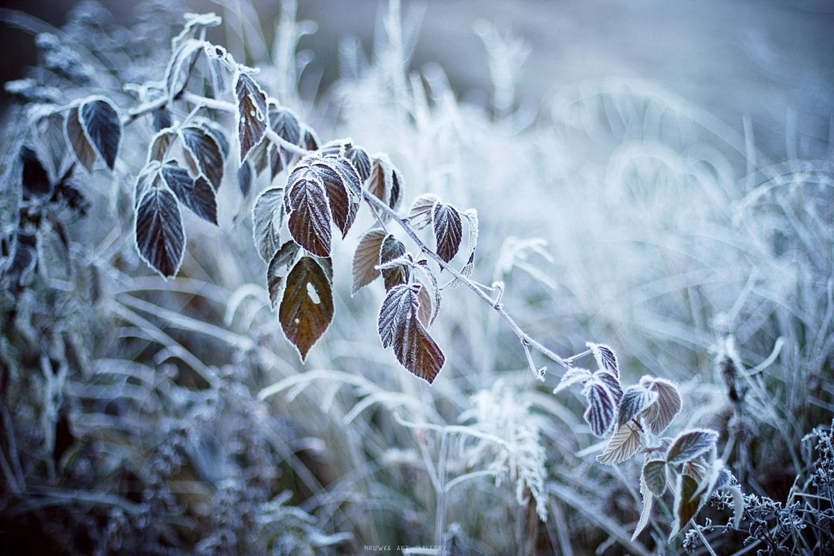 В Україну йде різке похолодання