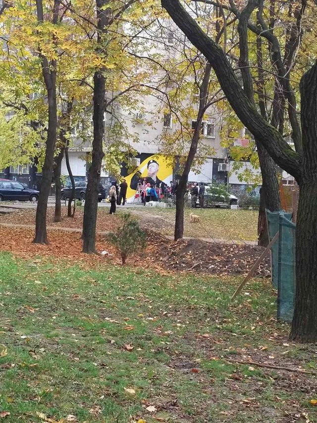 У столиці Сербії з'явилося графіті Мотороли: фотофакт 
 - фото 116419