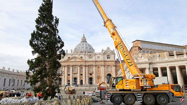 Найкрасивіші міста Європи перед Різдвом: казкові фото - фото 122377