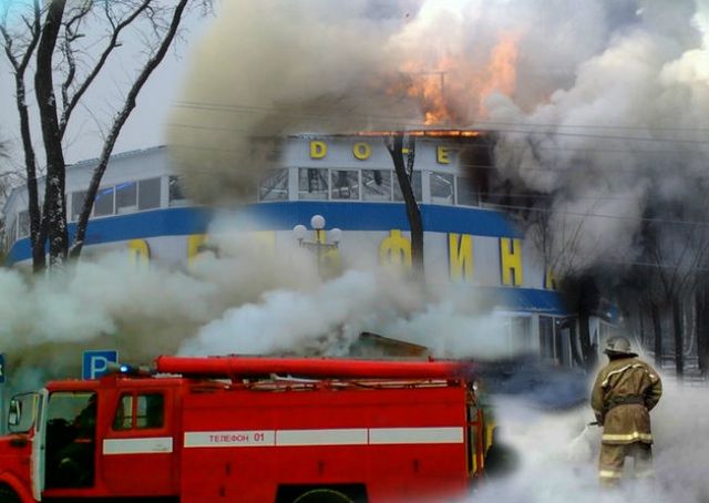 У Донецьку згорів дельфінарій: з'явилися фото - фото 121177