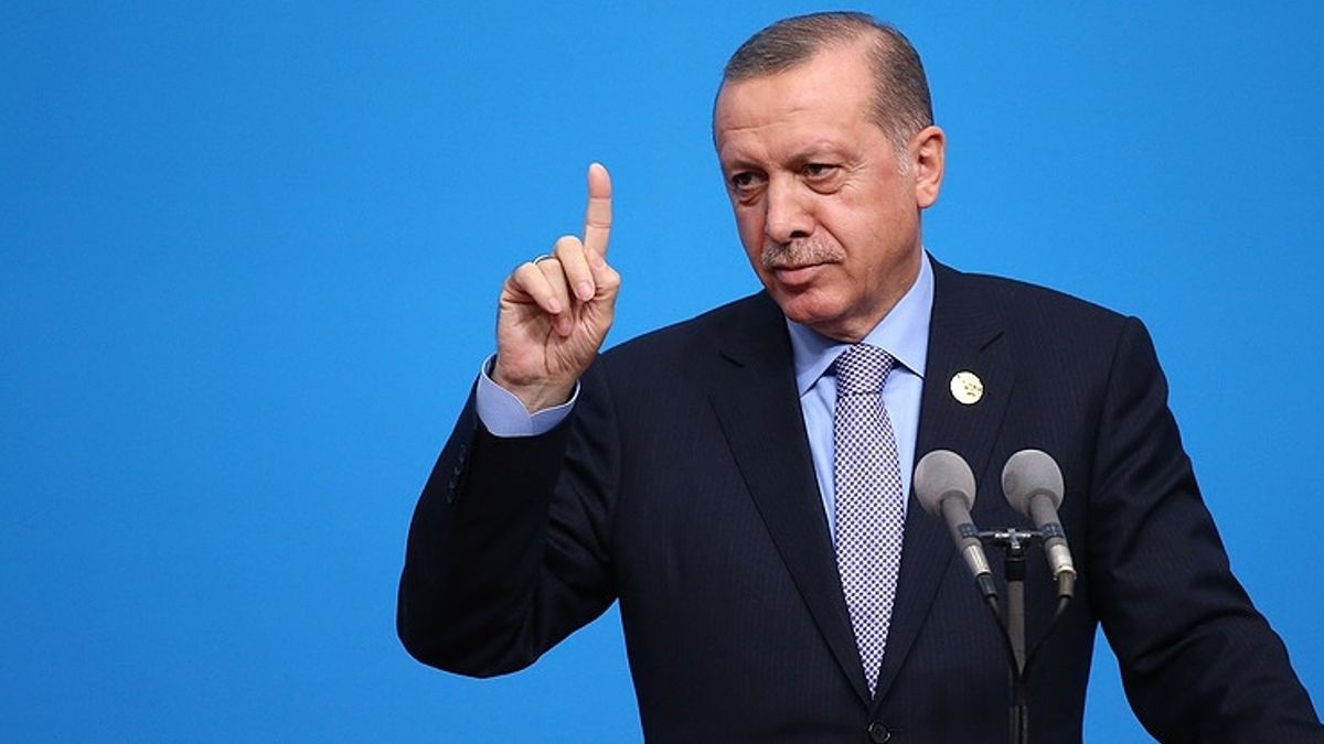 Ердоган - фото 1