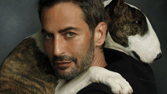 Як живе наймодніший собака у світі: кумедні фото- фото 120601