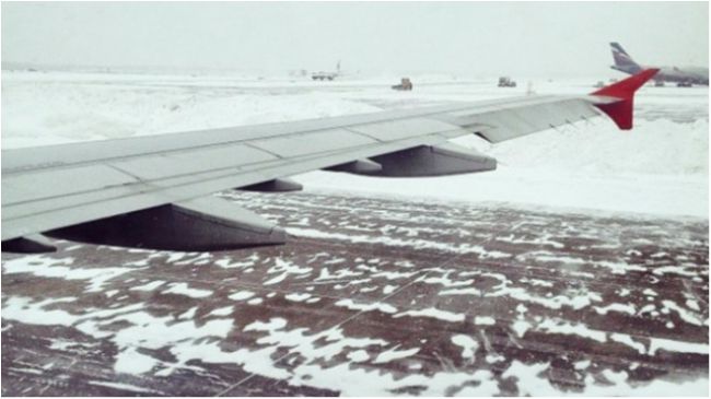 Як-52 - фото 1